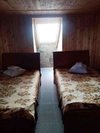 Отель Дом охотника Berdyanka Просторный двухместный номер с 2 отдельными кроватями-2